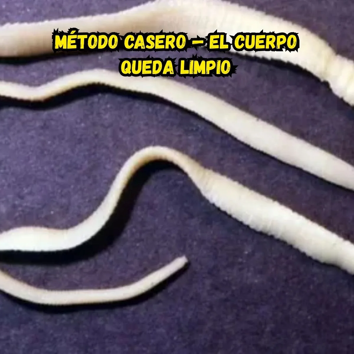 Guida completa alla cura della pelle